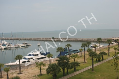 Ocean Marina Yacht Club, พัทยา, นาจอมเทียน - photo, price, location map